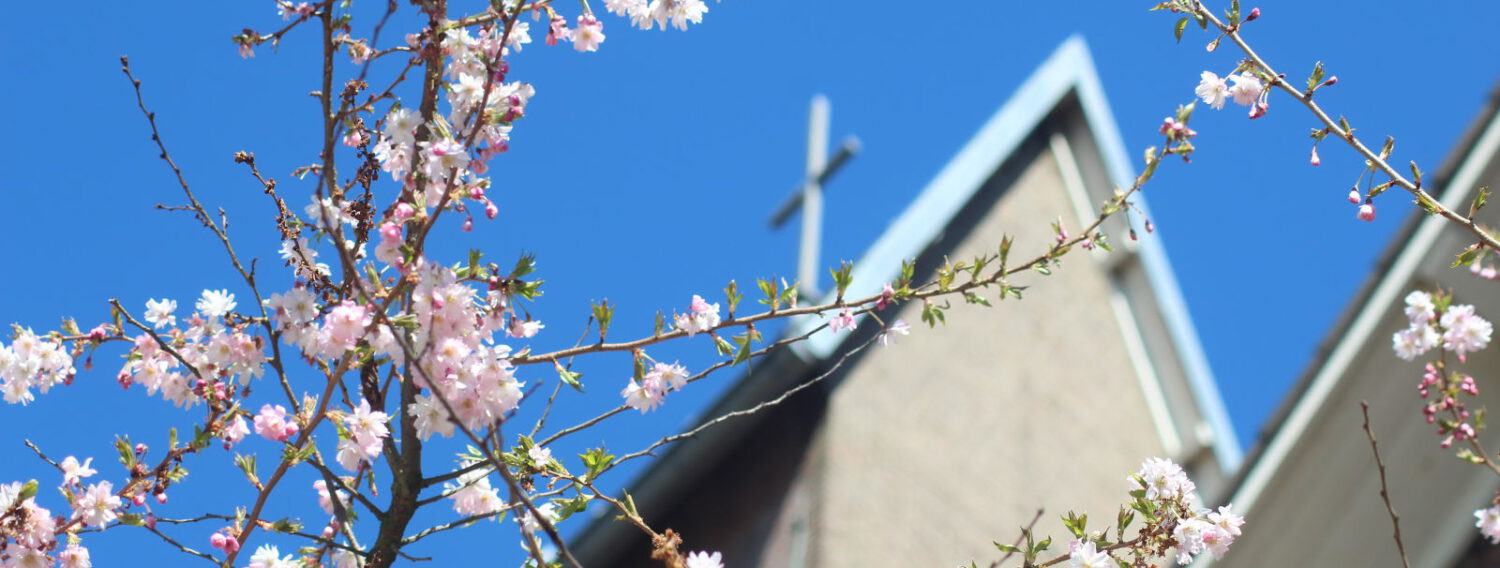 Rooms Katholieke kerk in Aalsmeer